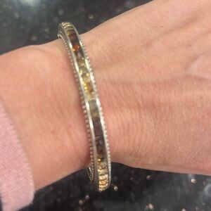 Brighton ombré hinged bangle